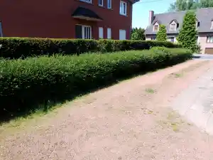 Enkele kleine werkjes.jpg