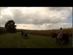 coaching_heuvelland-westouter_Equisense_VZW_5.jpg