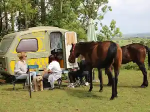coaching_heuvelland-westouter_Equisense_VZW_4.jpg
