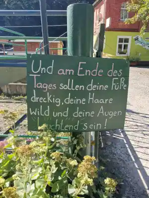 coaching_hannover_Ute_Gerken_-_Gute_Kerne._Beratung,_die_das_Wesen_trifft.__4.jpg