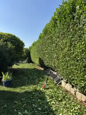hausmeisterservice_neuenburg-am-rhein_Deveci_Objektbetreuung_3.jpg