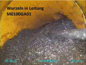 hausmeisterservice_gro%C3%9Fenehrich_Weimann:__Umwelt-_&_Kanal-_und_Containerdienst_6.jpg