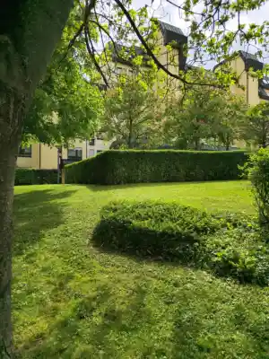 hausmeisterservice_leonberg_VFM_Objektservice_–_Hausmeisterservice_&_Gebäudereinigung_Leonberg_7.jpg
