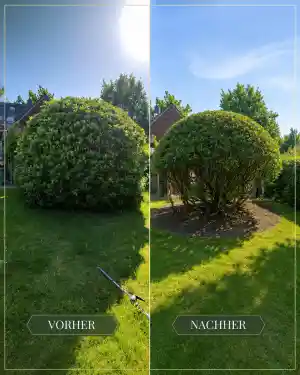 hausmeisterservice_hude-oldenburg_Garten_&_Hausmeisterservice_Sam_5.jpg
