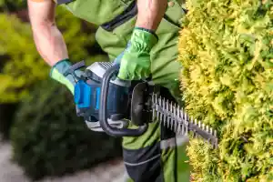 hausmeisterservice_v%C3%B6lklingen_Hausmeisterservice_Amini_4.jpg