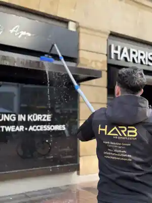 Reinigung eines Vordachs.jpg