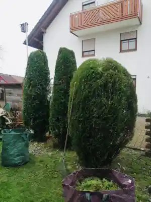 hausmeisterservice_eriskirch_Hausmeisterservice_Smart_6.jpg