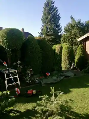 hausmeisterservice_eriskirch_Hausmeisterservice_Smart_4.jpg