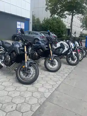 rijschool_rijswijk_Rijopleiding_Stip_2.jpg