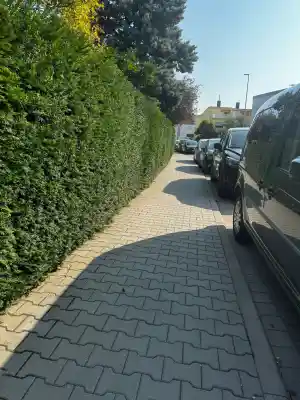 hausmeisterservice_hattersheim_GSW-Gebäudeservice_3.jpg