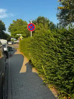 hausmeisterservice_hattersheim_GSW-Gebäudeservice_4.jpg
