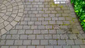 hausmeisterservice_korbach_CONTRALMO_3.jpg
