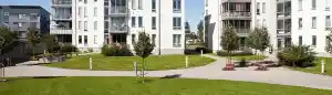 hausmeisterservice_gera_BTG_Immobilienservice_GmbH_4.jpg