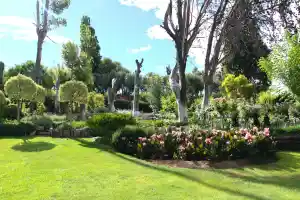 gartner_wachtberg_Gartenpflege_Walterich_4.jpg