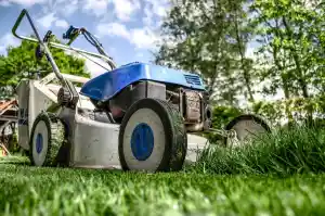 gartner_wachtberg_Gartenpflege_Walterich_3.jpg
