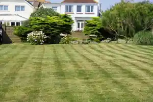 gartner_wachtberg_Gartenpflege_Walterich_6.jpg