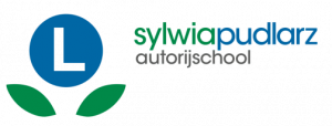 rijschool_vlaardingen_Autorijschool_Sylwia_3.jpg