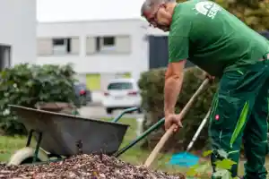 catering_klein-radden_PROCON_Service_und_Verwaltung_gGmbH_|_Service_Center_Brandenburg_Süd_5.jpg