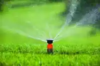 hausmeisterservice_langen_Nachbar-Service_3.jpg