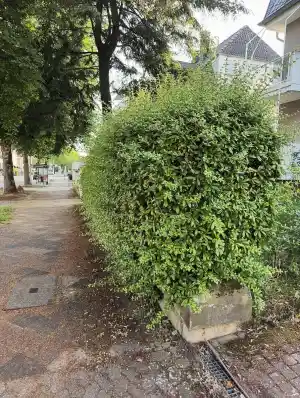 reinigungsfirma_saarbr%C3%BCcken_HeimHeld!_-_Objektmanagement_4.jpg