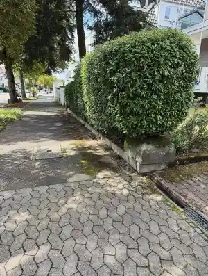 reinigungsfirma_saarbr%C3%BCcken_HeimHeld!_-_Objektmanagement_3.jpg