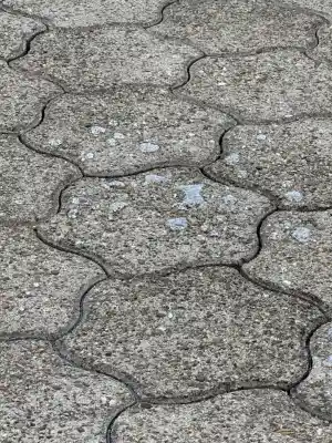 Reinigung und Versiegelung Hofeinfahrt .jpg