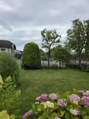 Vormsnoei..jpg
