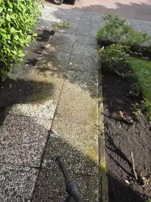 Bestrating reinigen..jpg