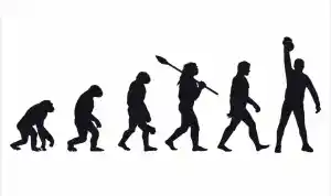 entrenador-personal_barcelona_Entrenador_Personal_Evolution_fitness_5.jpg