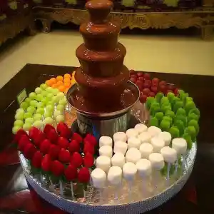 catering_meinersen_CSCatering_7.jpg