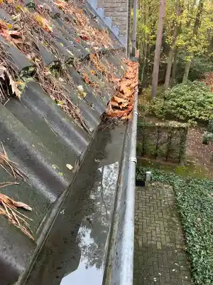 Uitkuisen dakgoten.jpg