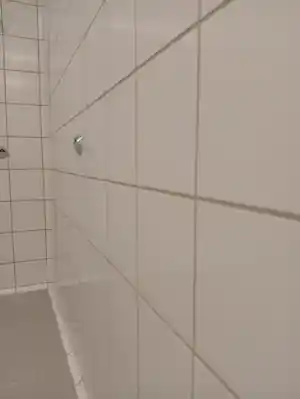Reiniging zwembad en douches.jpg