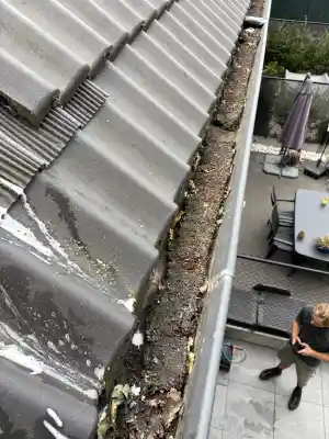 Dakgoten reinigen .jpg