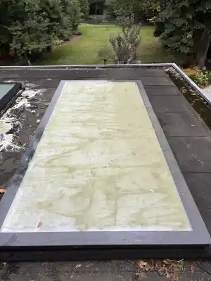 Reinigen van glazen koepels .jpg