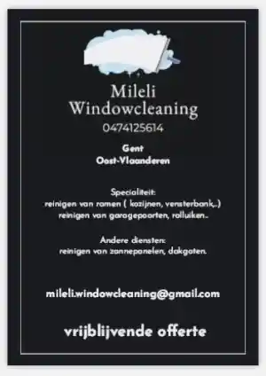 glazenwasser_gent_Mileli_Windowcleaning_5.jpg