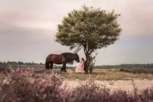 fotograaf_maassluis_Highlight_Business_7.jpg
