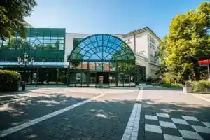 webdesign_halle-sachsen-anhalt_Werbeagentur_Wender_Media_4.jpg