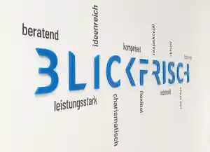 webdesign_heuchelheim_BLICKFRISCH_DESIGN_-_Mediengestaltung_3.jpg