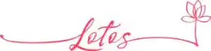 webdesign_weimar-th%C3%BCringen_LOTOS_DESIGN_Larissa_Herbst_4.jpg