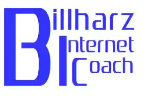 webdesign_gutach-schwarzwaldbahn_Billharz_Internet_Coach_6.jpg
