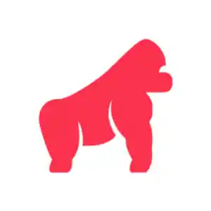 webdesign_bamberg_Webgorilla_GmbH_5.jpg