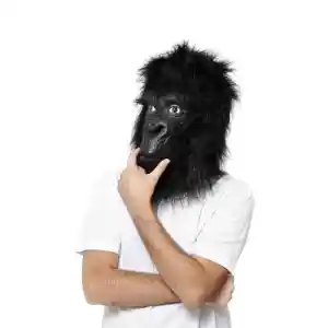webdesign_bamberg_Webgorilla_GmbH_3.jpg