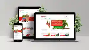 webdesign_halle-sachsen-anhalt_Derron_Design_4.jpg