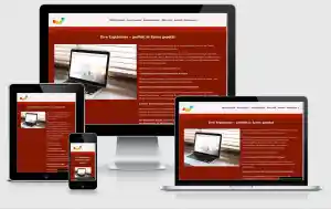 webdesign_kiel_IT-Services_Fengler_7.jpg