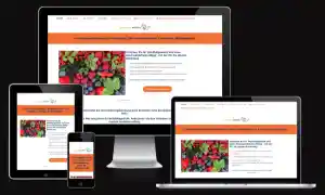 webdesign_kiel_IT-Services_Fengler_4.jpg