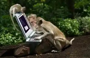 webdesign_verden-aller_GoodWorld_Webdesign_6.jpg