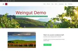 webdesign_worms_Peter_S._Klinke_Webdesign_3.jpg