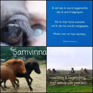 coaching_middelburg_Samvinna_coaching_,_coaching_en_begeleiding_met_hulp_van_paarden_2.jpg