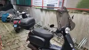 Blad verwijdering en muren reiniging .jpg