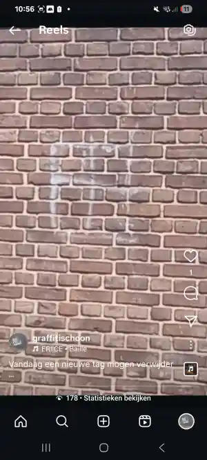 Graffiti verwijderen .jpg